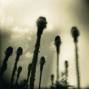 Serie Capture de rêves - tirage baryte viré au thiosulfate - 15 x 15 cm